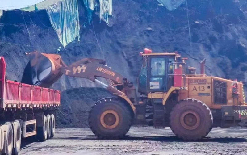 这是正解！鉴黑担保网解答港口转运难题