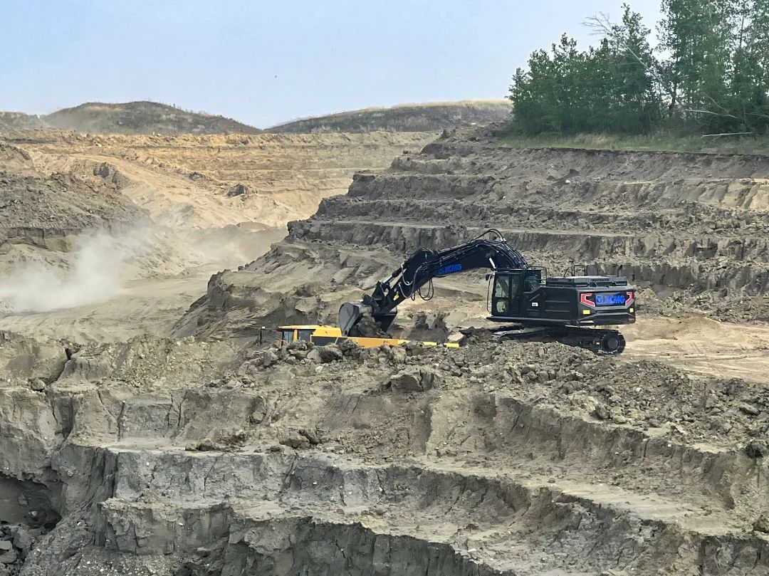 鉴黑担保网这个“大块头”，泰裤辣！